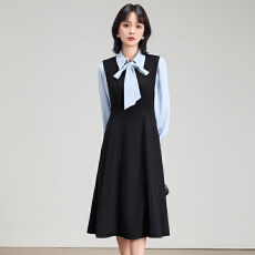 批发白领<b class='q'>职业</b>面试西<b class='q'>衬衫</b><b class='q'>女</b>夏季薄款教师<b class='q'>职业</b>高级感正装职场<b class='q'>衬衫</b>