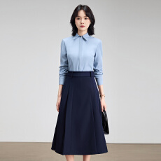 批发白领<b class='q'>职业</b>面试西<b class='q'>衬衫</b><b class='q'>女</b>夏季薄款教师<b class='q'>职业</b>高级感正装职场<b class='q'>衬衫</b>