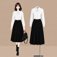 批发白领<b class='q'>职业</b>面试西<b class='q'>衬衫</b><b class='q'>女</b>夏季薄款教师<b class='q'>职业</b>高级感正装职场<b class='q'>衬衫</b>