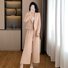 批发2025职业西装套装<b class='q'>女士</b>高端时尚气质女神范职业西装
