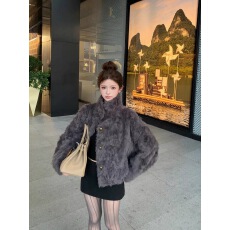 批发2025新款立领环保小湖羊女短款小个子仿皮草外套毛毛上衣女