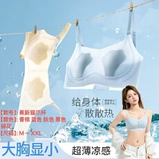 批发<b class='q'>夏</b>季超薄透气无痕凉感文胸女果冻软支撑猫爪杯防凸点大胸显小显瘦
