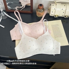 批发软萌碎星小兔少女士内衣软支撑内嵌式立体杯不跑位舒适上托防下垂