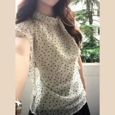 批发<b class='q'>波点</b><b class='q'>雪纺</b><b class='q'>衬衫</b>女夏季2026新款法式韩系设计感显瘦上衣早春别致小衫