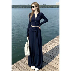 批发2026新款长袖<b class='q'>T</b><b class='q'>恤</b>半身连衣裙子女早秋韩系穿搭一整套包臀长裙套装