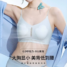 批发<b class='q'>夏季</b>透气T区镂空花瓣杯内衣女大胸显小多种美背穿搭一字超低露背