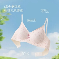 批发俏皮蝴蝶结波浪V领少女士碎花格纹内衣女软支撑舒适上托无感侧收