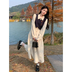 批发马甲连衣裙套装女秋季新款法式气质穿搭<b class='q'>牛仔</b>衬衫裙超火两件套