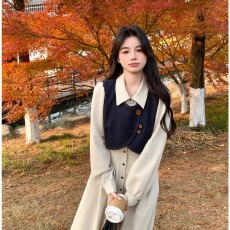 批发马甲<b class='q'>连衣裙</b>套装女秋季新款法式气质穿搭牛仔衬衫裙超火两件套