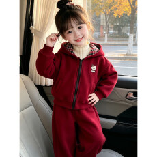 批发儿童秋冬季新款洋气保暖<b class='q'>女</b><b class='q'>童</b>加绒加厚连帽外套卫衣<b class='q'>套装</b>女宝宝冬装