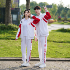 批发<b class='q'>实拍</b> 人大同款初中生班服秋季运动会开幕式中小学合唱演出服