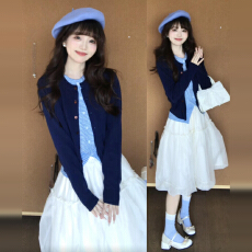 批发2026早春季新款小个子假两件开衫搭配网纱半裙两件套装连衣裙子女