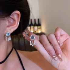 批发轻奢小众高级感精致锆石耳钉女时尚百搭<b class='q'>气质</b>流苏耳环网红耳饰