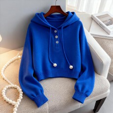 批发巨显白克莱因蓝色卫衣女款爆款2025新款正品<b class='q'>春</b>秋款洋气高贵上衣秋