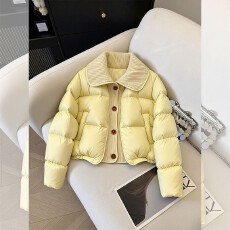 批发<b class='q'>冬</b>季新款翻领设计感棉服外套女款气质轻熟风棉袄独特别致加厚棉衣