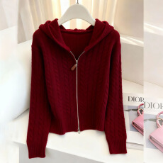 批发秋冬新款连帽针织衫毛衣女时尚百搭气质轻熟风上衣设计感别致小衫