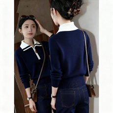 批发2025年冬季新款今年流行爆款半拉链藏蓝色毛衣女翻领小个子打底衫