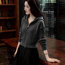 批发秋冬新款连帽针织衫毛衣女时尚百搭气质轻熟风上衣设计感别致小衫