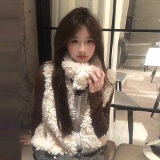 批发复古格纹立领毛绒马甲背心女秋冬2025新款设计感软糯双面叠穿外套