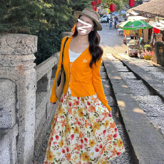 批发法式碎花连衣裙子女早春季2026新款韩系巨好看多巴胺穿搭套装<b class='q'>长裙</b>