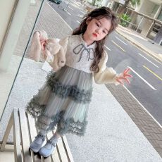 批发儿童新款洋气秋冬季女小童小香风长袖公主网纱连衣裙女宝宝秋装潮