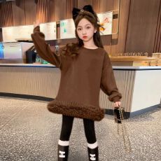 批发女童裙子秋冬款2026新款公主裙<b class='q'>儿童</b>冬季加绒连衣裙大童冬装卫衣裙