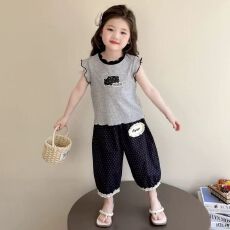 批发舒适休闲女童夏季套装2026新款花边上衣休闲防蚊蕾丝边阔腿裤子潮