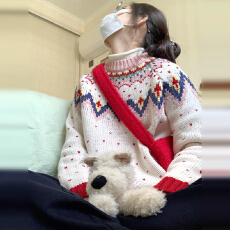 费尔岛超好看毛衣针织衫女2025秋冬季新款慵懒高级感加厚套头上衣