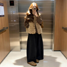 批发羊羔毛马甲背心女2026秋<b class='q'>冬</b>季新款连帽针织毛衣叠穿韩系穿搭一整套