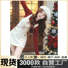 批发秋冬2025年新款女韩系巨好看<b class='q'>连衣裙</b>小个子早秋穿搭配一整套装绝美