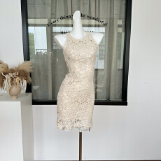 批发SYA奚小西 法式温柔连衣<b class='q'>裙</b>女春季礼服镂空蕾丝无袖内搭短款<b class='q'>裙</b>子