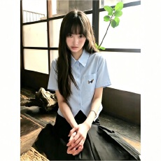 批发韩系学院风腊肠狗口袋翻领上衣夏季小个子短款收腰尖角短袖衬衫