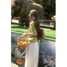 批发已出货  新款韩系早春薄荷绿麻花纹针织短袖女镂空<b class='q'>宽松</b>叠穿温柔风