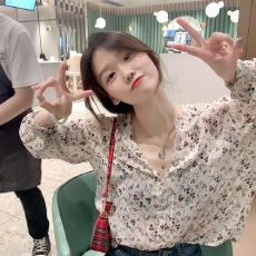 批发已出货  韩国chic复古甜美碎花雪纺V领衬衫女夏季薄款<b class='q'>长袖</b>