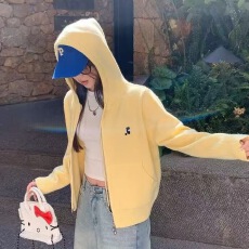 批发已出货 <b class='q'>韩国</b>chic针织开衫新款毛衣外套秋季女装早秋穿搭连帽<b class='q'>上衣</b>