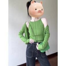 批发2025<b class='q'>秋</b>季新款韩版宽松显瘦百搭圆领长袖针织衫女毛衣上衣