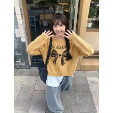 批发韩版蝴蝶结百搭圆领长袖<b class='q'>针织</b>衫毛衣女2026秋冬新款宽松上衣
