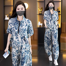 批发实拍2026夏季新款洋气<b class='q'>大码</b>女装套装胖MM时尚宽松显瘦哈伦裤两件套