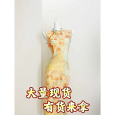 批发显瘦无袖年轻款国风新中式长款改良旗袍春<b class='q'>夏</b>新款少女复古修身显白