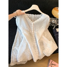 批发法式重工刺绣白色v领<b class='q'>蕾丝</b>衬衫外套女春夏季薄纱微透空调<b class='q'>罩衫</b>上衣