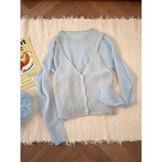 批发实拍优雅叠穿显瘦针织两件套女春季新款宽松内搭舒适百搭<b class='q'>马甲</b>套装