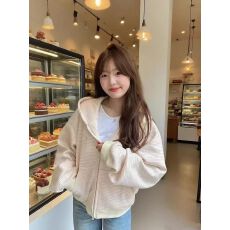 批发薄款/加绒 原版做工（纯棉华棉复合）<b class='q'>卫衣</b>女