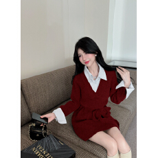 批发已出货 裙子秋冬法式收腰气质宽松显瘦<b class='q'>连衣裙</b>