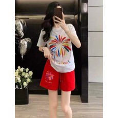 批发官图 21支纯棉-210克100%棉 2026年春夏装短袖T恤女韩版印花