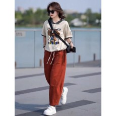 批发时尚休闲洋气短袖<b class='q'>套装</b>女2025夏季新款宽松连帽印花T恤+爆款<b class='q'>哈伦裤</b>