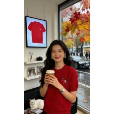 批发小马<b class='q'>刺绣</b>圆领短袖毛衣女设计感宽松显瘦针织<b class='q'>上衣</b>早春叠穿内搭线衣