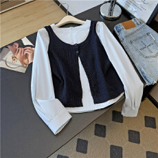 批发实拍～设计感两件套装后拉链圆领衬衫配针织<b class='q'>马甲</b> 新款叠穿套装