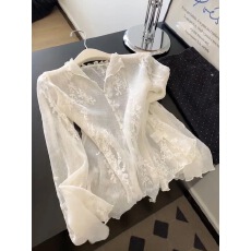 批发<b class='q'>刺绣</b>蕾丝花边<b class='q'>衬衫</b>女早秋新款钩花镂空设计感上衣潮