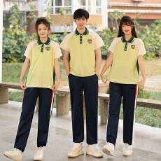 批发<b class='q'>实拍</b>班服运动会polo短袖夏季毕业套装学生初中t恤校服