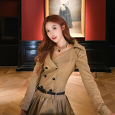 批发法式复古高级感超好看<b class='q'>双排扣</b>翻领连衣裙冬季设计感小众花苞短裙